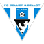 FC Sellier & Bellot Vlašim logo