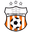 Home team logo
