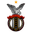 Home team logo
