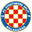 Home team logo