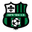Home team logo