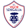 Vigor Senigallia