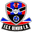Home team logo