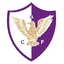 CA Fenix logo