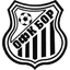 ОФК Бор 1919 logo