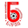 Home team logo