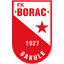 FK Borac Sakule logo