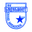 Home team logo