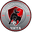 Home team logo