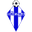 Home team logo