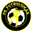 Home team logo