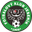 Home team logo