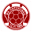 Home team logo