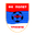 Home team logo