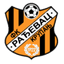 ФК Рађевац Крупањ logo