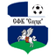teamLogo