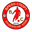 Home team logo