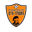 Home team logo