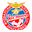 Home team logo