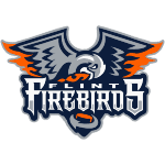 Flint Firebirds