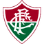 Fluminense U17 logo