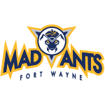 Fort Wayne Mad Ants