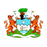 Freetown City FC logo