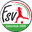 Home team logo