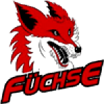 Лис Дуйсбург logo