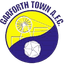 teamLogo
