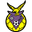 Home team logo