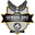 Home team logo