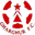 Home team logo