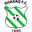 Home team logo