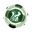 Home team logo