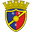 Home team logo