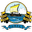 Home team logo