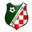 Home team logo
