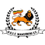 teamLogo