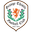 Away team logo