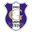 Home team logo