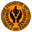 Home team logo