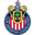 Home team logo