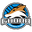 Home team logo