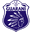 Home team logo