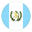 Home team logo