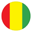 Guinea logo