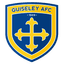 teamLogo