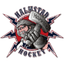 Halmstad Hammers HC