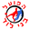Home team logo